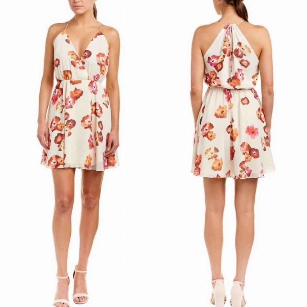 Haute Hippie Harmony Wrap Dress in Tie Dye Floral